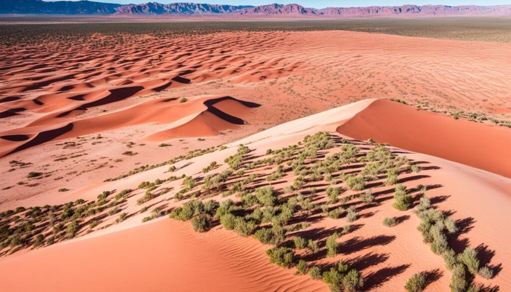 Coral Pink Sand Dunes